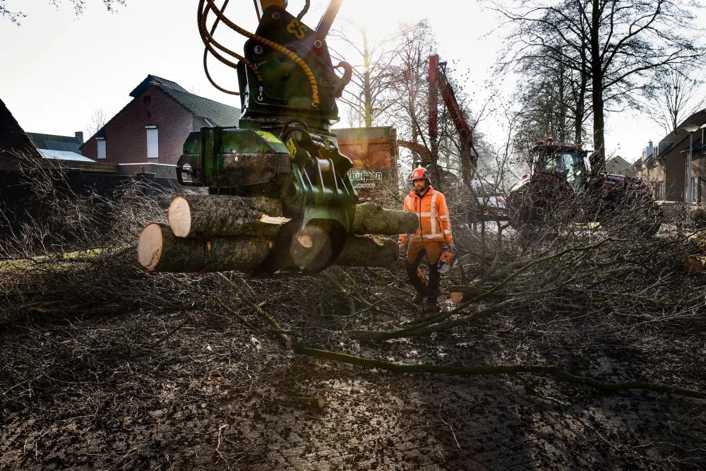 Peellandsingel - Veldhuijzen Groen